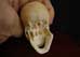 miniature_skull_view2